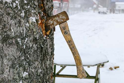 outdoors axe sticked on tree trunk cooperstown